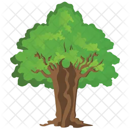 Sassafras Tree  Icon