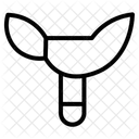 Texas Symbol