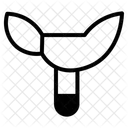 Texas Symbol