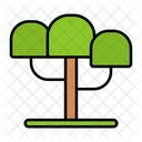 Arbol Roble Arbusto Icono