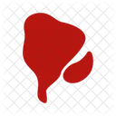 Sauce Food Ketchup Icon
