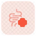 Saude Intestinal Intestino Saude Icon