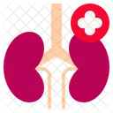 Saude Renal Sintomas Nefrologia Ícone