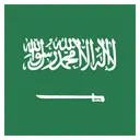 Arabia Saudita Arabia Bandeira Ícone