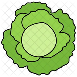 Sauerkraut  Icon