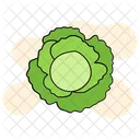 Sauerkraut  Icon