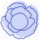 Sauerkraut Kohl Fermentiert Symbol