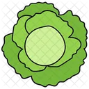 Sauerkraut Kohl Fermentiert Symbol