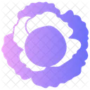 Sauerkraut  Symbol