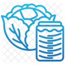 Sauerkraut Kohl Lebensmittel Symbol