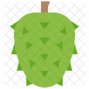 Soursop Obst Exotisch Symbol