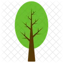 Saulenformig Buche Baum Symbol