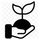  Icône