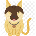 Savannah Cat Hybrid Tall Icon
