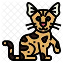 Savannah Cat Icon