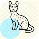 Savannah Cat Savannahcat Cat Icon