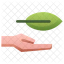 Hand Holding Leaf Hand Hold Icon