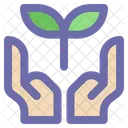 Plant Leaf Growth Icon