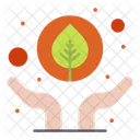 Save Environment  Icon