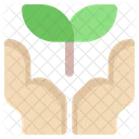 Plant Leaf Growth Icon