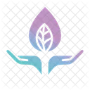 Save Icon