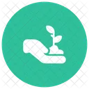 Growth Nature Plant Icon