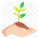 Agive Plant Gardeningecology Idea Icon