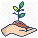 Agive Plant Icon