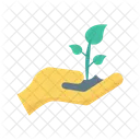 Save Plant Growth Icon
