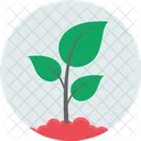 Save Plant Eco Ecology Icon