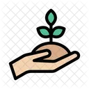 Growth Increase Care Icon
