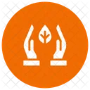 Growth Plant Care Icon