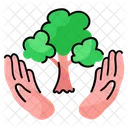 Save Tree  Icon