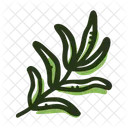 Savory Plant Spice Icon