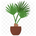 실내 식물 관상용 식물 관엽 식물 장식 아이콘