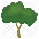 Sawtooth Oak Durable Icon
