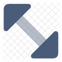 Scale Flip Icon