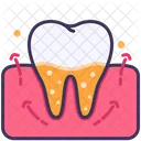 Scaling Clean Tooth Icon