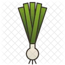 Scallion Green Herb Icon