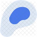 Scallop  Icon
