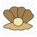 Scallop  Icon