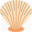 Scallop Shell Icon