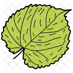 Scalloped Leaf  Icon