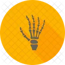 Scan Body Hand Icon