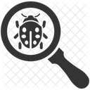 Bug Scan Search Icon