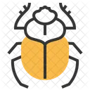 Scarab Beetle Insect Icon