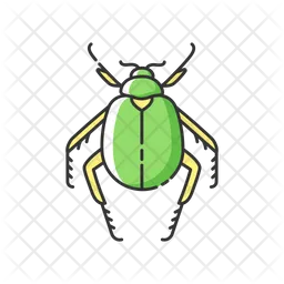 Scarab Beetle  Icon