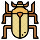 Scarab Beetle  Icon