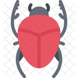 Scarab  Icon