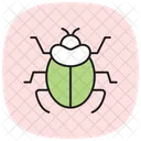 Scarab Insect Beetle Icon
